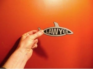Finding the Perfect Law Career