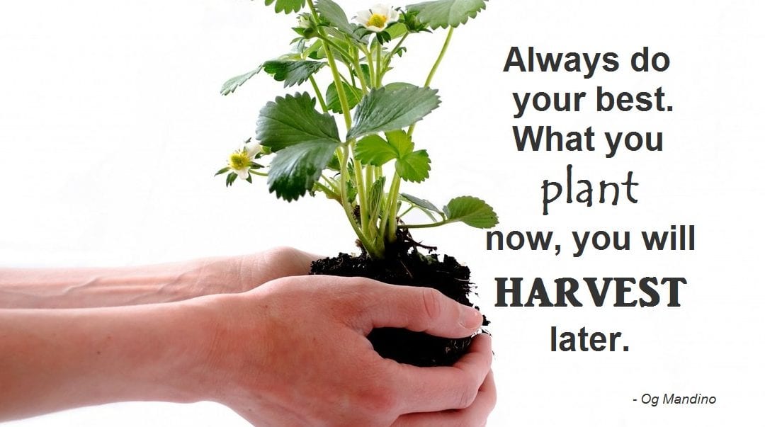 Monday Motivator for Your Job Search - Do Your Best