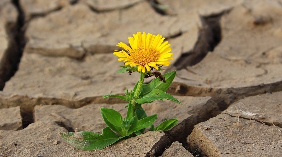 Are You Trying to Move Into a New Industry? Here Are Some Survival Tips