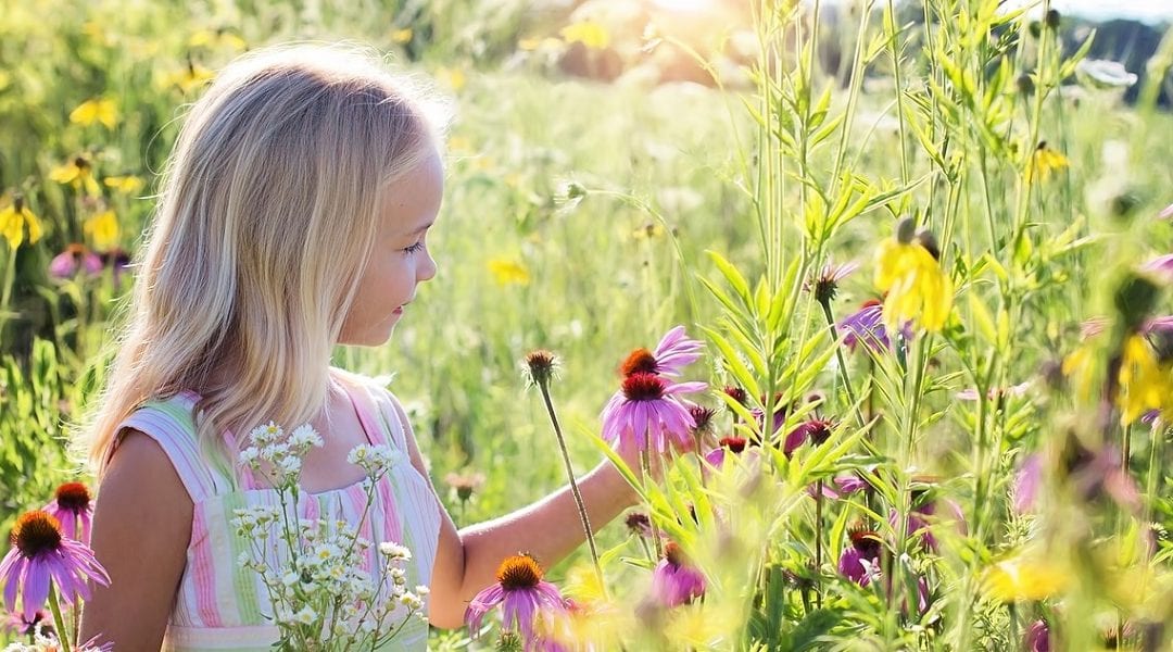Job Searching in the Summer: 5 Reasons to Keep Going