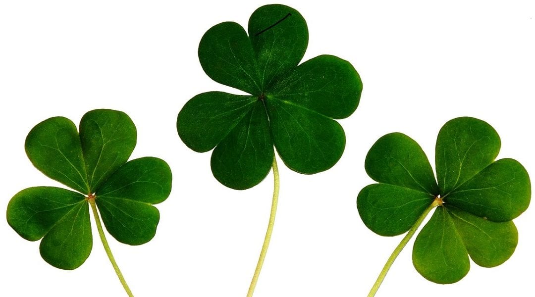 Can You Create Some Job Search Luck?